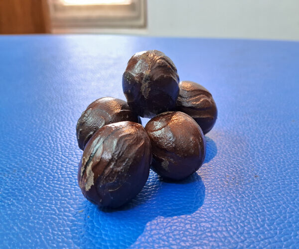 Nutmeg - Image 3