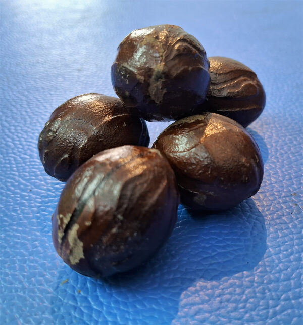 Nutmeg 2