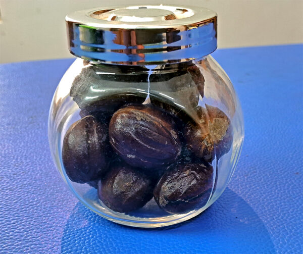 Nutmeg